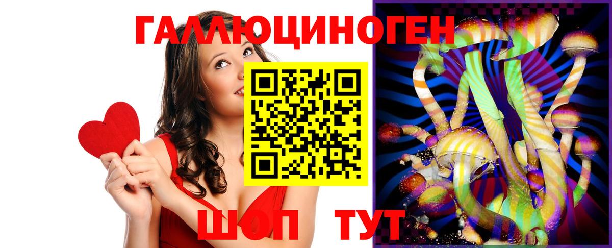 Галлюциногенные грибы Psilocybe Кстово