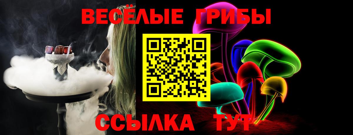 Псилоцибиновые грибы прущие грибы  Галлюциногенные грибы прущие грибы  Вход с VPN  Кстово 