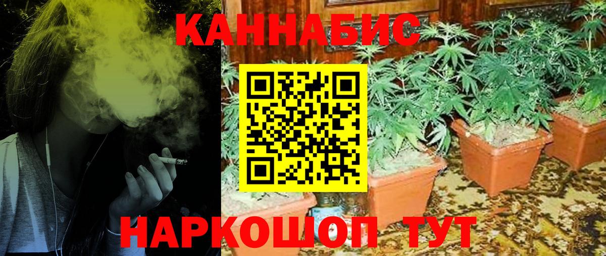 Марихуана сатива  Шишки марихуана MAZAR  Бошки Шишки OG Kush  Вход с VPN  Кстово 